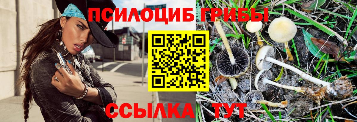 Бахчисарай  Галлюциногенные грибы MAGIC MUSHROOMS  Вход с VPN 