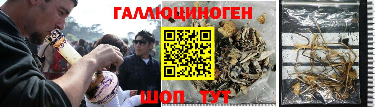 Галлюциногенные грибы Magic Shrooms Бахчисарай
